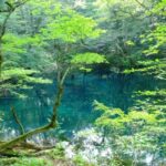 sites/7/2018/08/3ba142ad99ffbdac1a3eb77d0e82563e_t-150x150.jpgの画像
