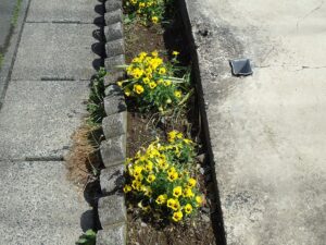 岩手の高断熱住宅の画像