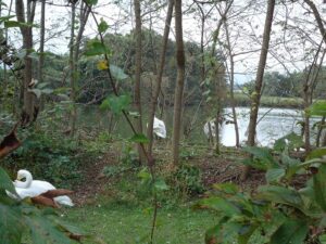 岩手の高断熱住宅の画像