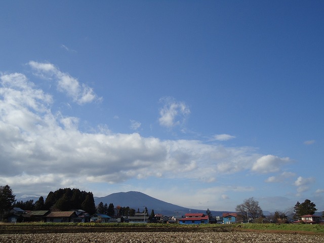 sites/7/2021/11/DSC00587.jpgの画像