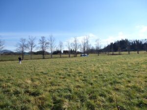 岩手の高断熱住宅の画像