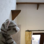 sites/7/2022/03/AC6A2029-150x150.jpgの画像