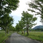 岩手の高断熱住宅の画像