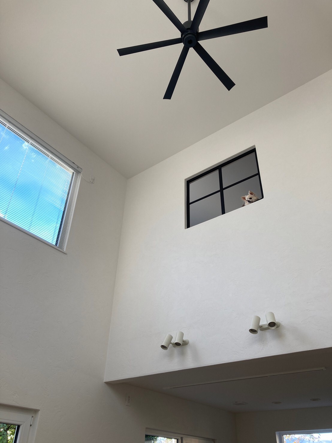 sites/7/2022/10/3.jpgの画像