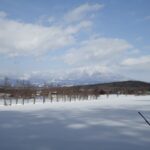 岩手の高断熱住宅の画像