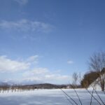sites/7/2023/01/DSC01878-150x150.jpgの画像