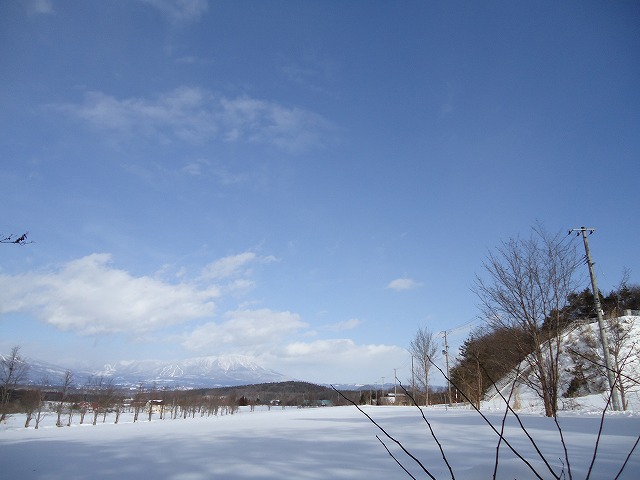 sites/7/2023/01/DSC01878.jpgの画像