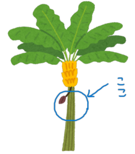 sites/7/2023/06/tree_banana-263x300.pngの画像