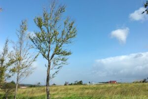 岩手の高断熱住宅の画像