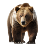 sites/7/2023/11/8df702f4accfd6930aa10c532eac3ebd-150x150.pngの画像