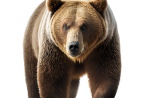 sites/7/2023/11/8df702f4accfd6930aa10c532eac3ebd-300x200.pngの画像