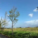 岩手のの画像