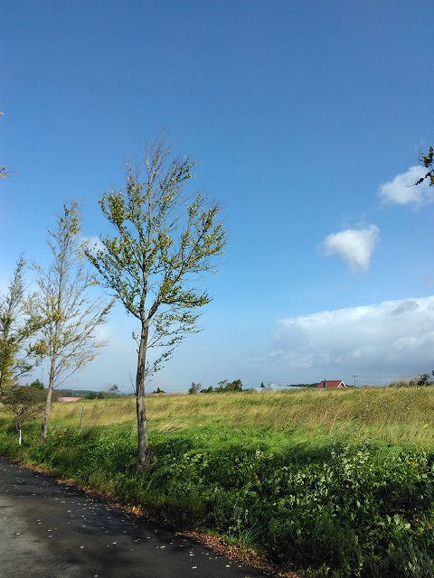 岩手のの画像