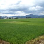 sites/7/2024/07/DSC03922-150x150.jpgの画像