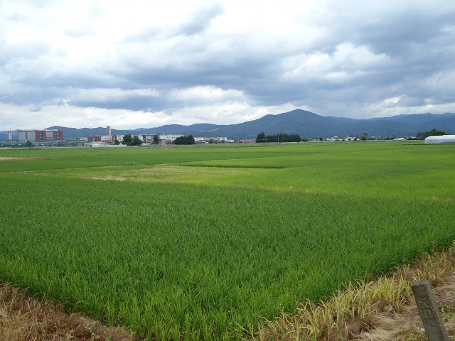sites/7/2024/07/DSC03922.jpgの画像
