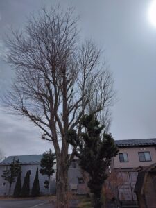 岩手の高断熱住宅の画像