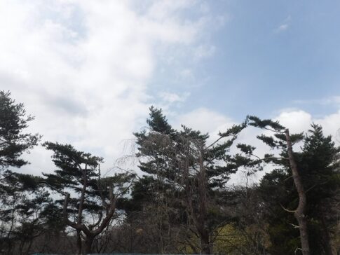 岩手の高断熱住宅の画像