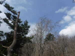岩手の高断熱住宅の画像