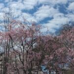岩手の高断熱住宅の画像