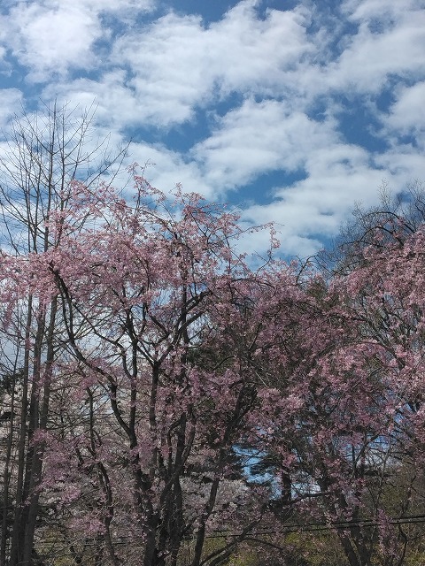 岩手の高断熱住宅の画像