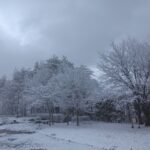 sites/7/2025/11/IMG_20241204_111827-150x150.jpgの画像