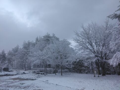 sites/7/2025/11/IMG_20241204_111827-485x364.jpgの画像