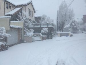 sites/7/2025/11/IMG_20250129_074648-300x225.jpgの画像