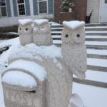 sites/7/2026/01/IMG_20260106_103726-150x150.jpgの画像