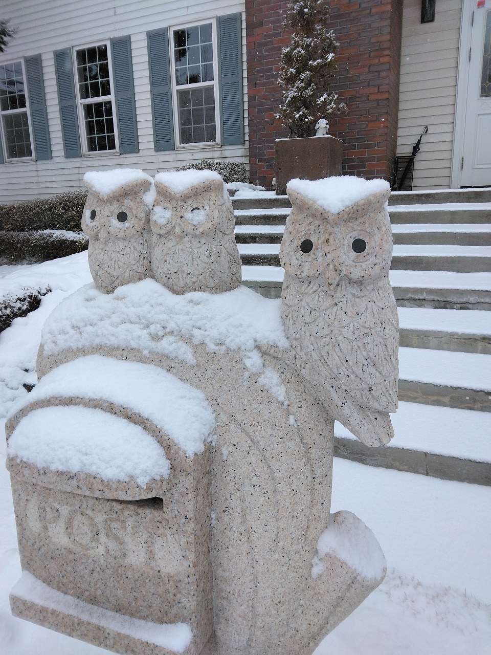 sites/7/2026/01/IMG_20260106_103726.jpgの画像