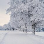 岩手の家造りポイント 岩手の高断熱住宅を提案する大共ホームの画像