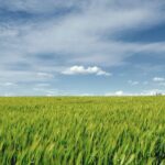 岩手の家造りポイント 岩手の高断熱住宅を提案する大共ホームの画像