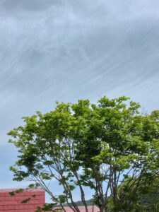 ドイツ製窓と高断熱住宅を提案する大共ホームの家造りの画像