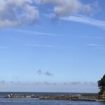 sites/7/2026/08/8F489677-6A33-4D67-8A57-C14394566AE7-150x150.jpgの画像