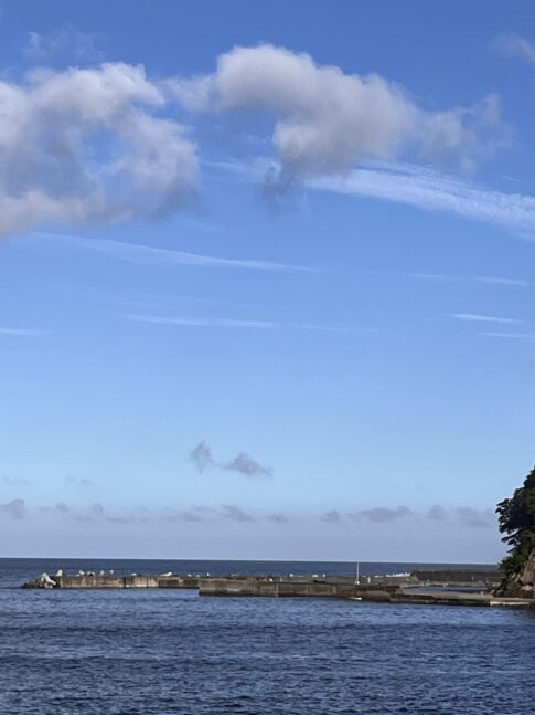 sites/7/2026/08/8F489677-6A33-4D67-8A57-C14394566AE7-485x647.jpgの画像