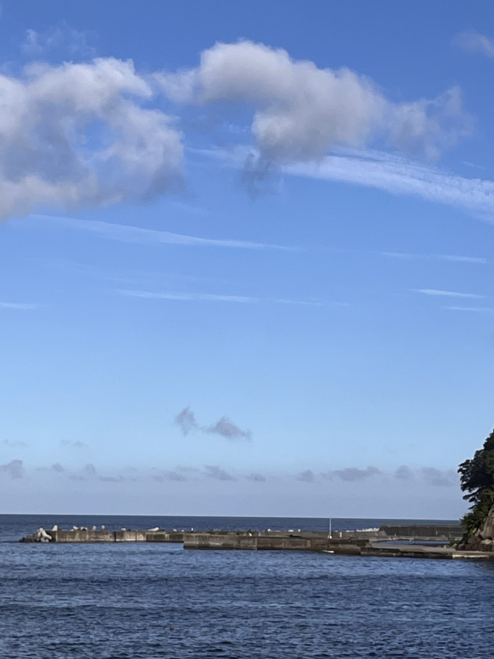 sites/7/2026/08/8F489677-6A33-4D67-8A57-C14394566AE7-scaled.jpgの画像
