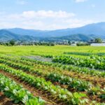 アイキャッチ画像|岩手県で高断熱高気密注文住宅を考えるなら大共ホームの画像