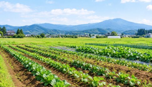 アイキャッチ画像｜岩手県で高断熱高気密注文住宅を考えるなら大共ホームの画像