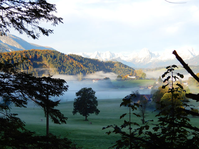 オーストリアの山脈と朝靄。