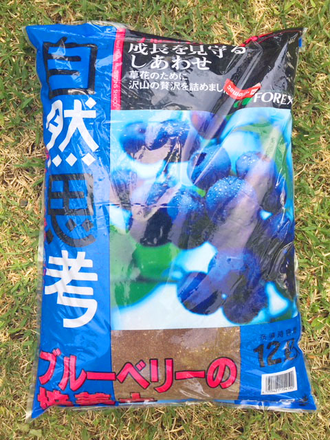 自然思考のブルーベリーの土の画像