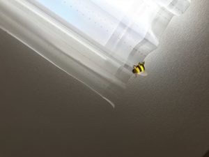 sites/9/2018/05/ec7074018619d3f1326d06071ae25f13-300x225.jpgの画像