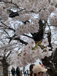 sites/9/2019/04/IMG_0627-e1556171602546-225x300.jpgの画像