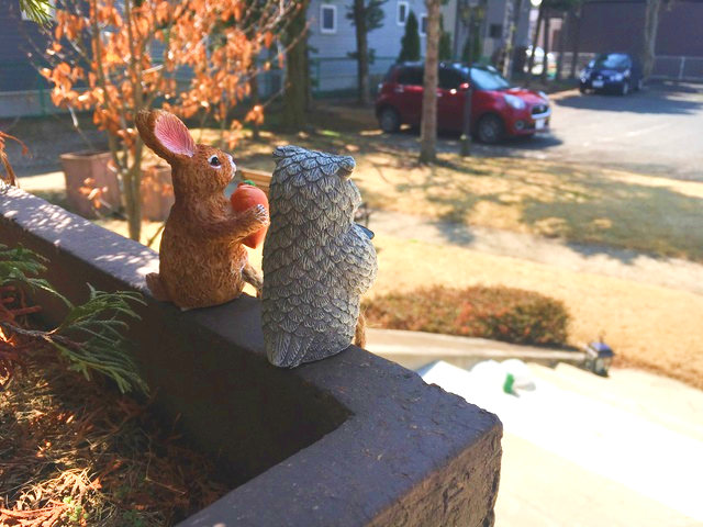ふくろうとうさぎ後姿の画像