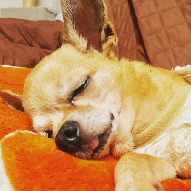 sites/9/2019/05/2dd346767f2efa51eb37f1dffc8d6548.jpgの画像