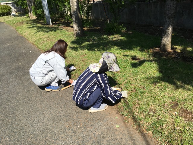 sites/9/2019/05/2ed3e6b09560f68e80b134f8e813afc5.jpgの画像