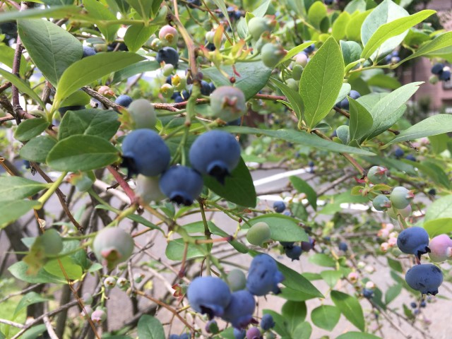 sites/9/2019/08/25561173185ecba2679d839fa2d573ac.jpgの画像