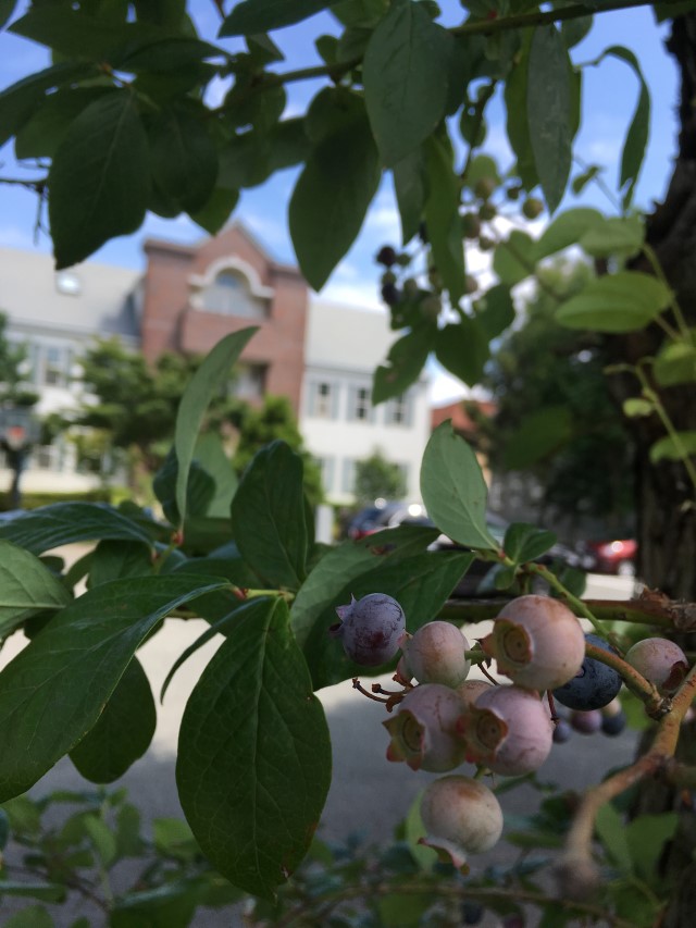 sites/9/2019/08/71487e5f3204728b989a056103273083.jpgの画像