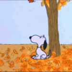 sites/9/2022/08/GoodMorningSnoopyGIF-150x150.gifの画像