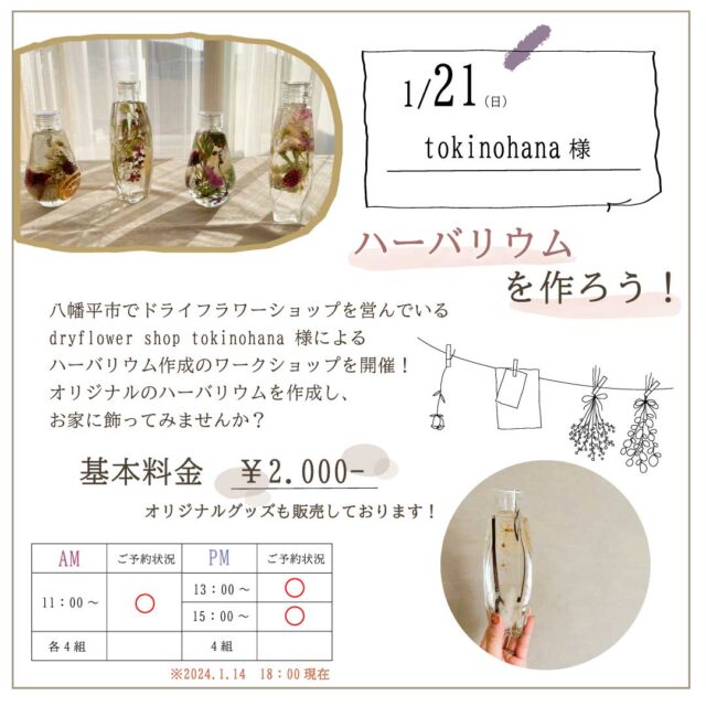 sites/9/2024/01/426d0c2b8ddb583706d18f140e6394ad-e1705286200438.jpgの画像