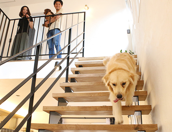 愛犬と楽しく暮らす家｜岩手県で高断熱注文住宅を建てるなら大共ホームの画像