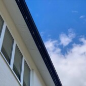 陽だまりのもとに住まう家の外観の画像